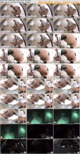 6184_BFSL-310